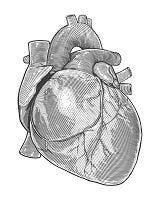  Journal Tallies Top 5 Cardiology Stories