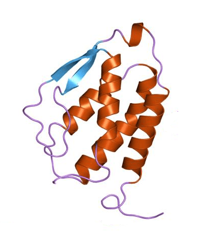 Good Reason to Target Receptor Involved in Synovial Inflammation