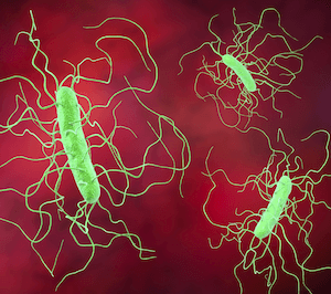 Vancomycin, Fidaxomicin Show Promise Treating Stem Cell Patients with C Difficile