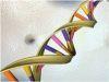 Link Discovered between WRP Gene and Severe Mental Retardation