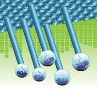 Embryo Transfers and Multiple Births: Doing the Math in Reproductive Endocrinology