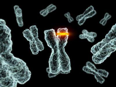 Personalized Medicine Comes to RA: 3 DNA Codons Show Prognosis