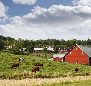 How a Maine Program Reduced Heart Disease