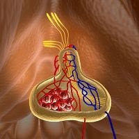 New Acromegaly Guidelines