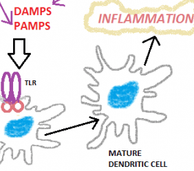 FYI:  The Best Recent News About Inflammation