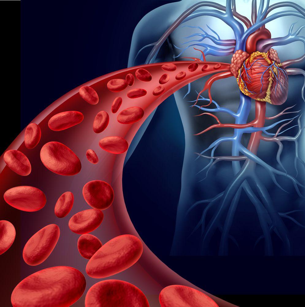 Increased Cardiovascular and Cerebrovascular Mortality in Ankylosing Spondylitis