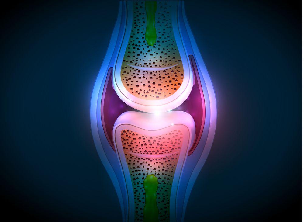 (Synovial joint anatomy abstract. ©Tefi/Shutterstock.com)