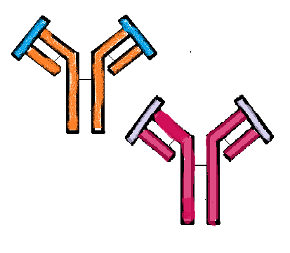 Infliximab Biosimilars Launch in Europe. (So What?)