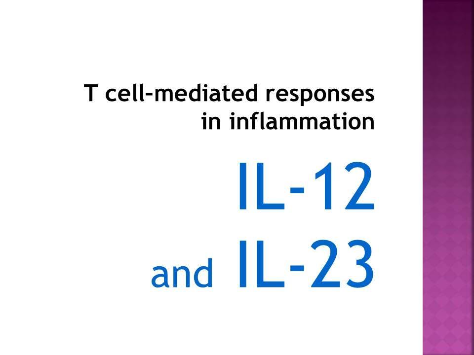 IL-12 and IL-23 Therapeutic Targets Reviewed