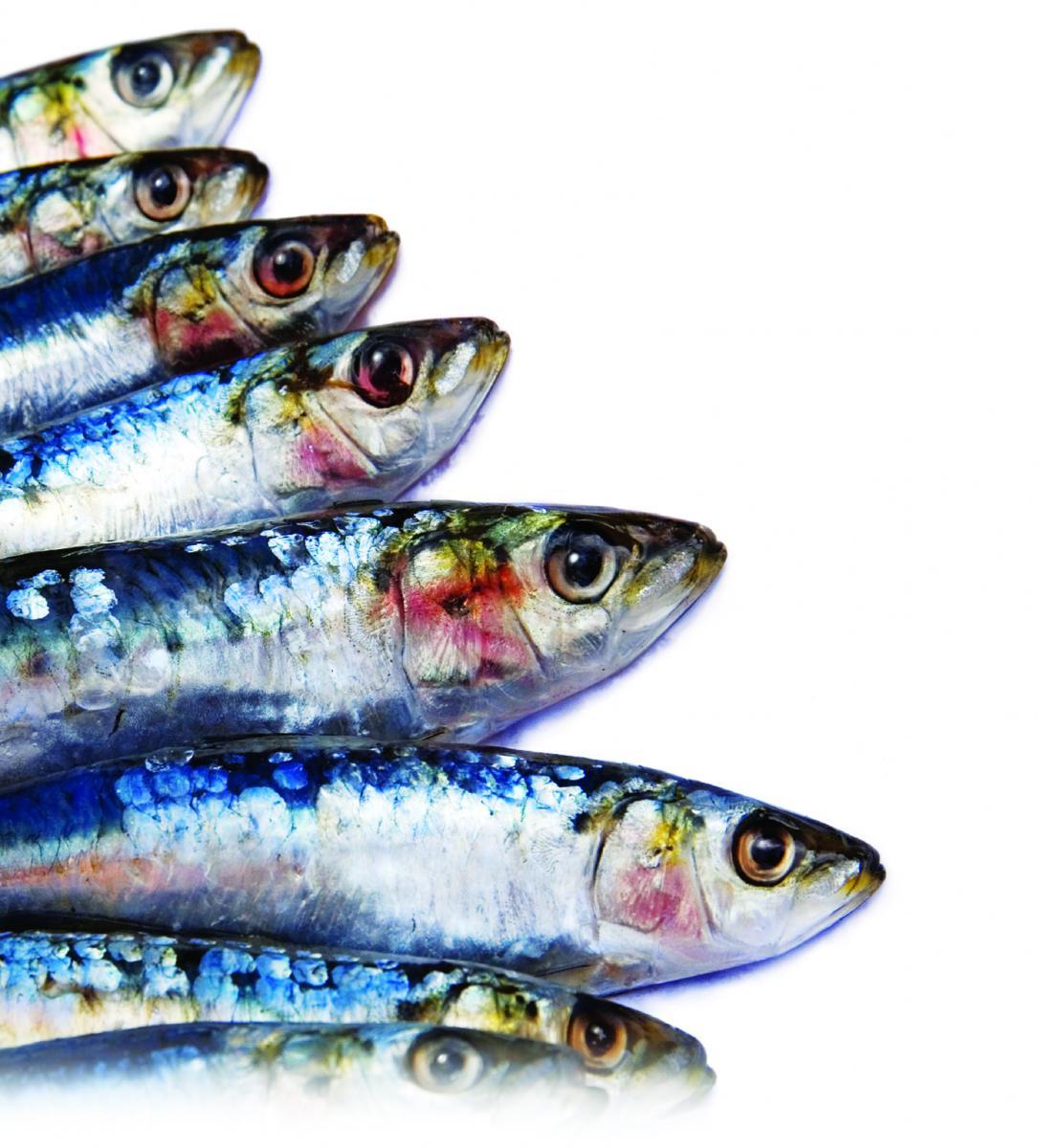 Eating Fish Eases Rheumatoid Arthritis