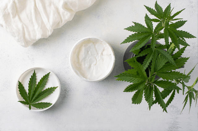 Cannabis Cream Safely Reduces Itch in Patients with CKD-Associated Pruritus