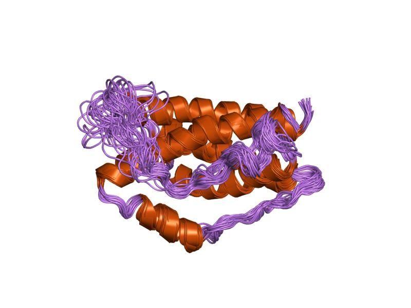 Novel IL-6 Inhibitor Proves Mettle in RA