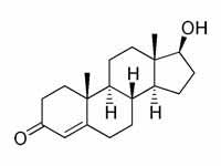 The Testosterone-Alzheimer's Disease Link