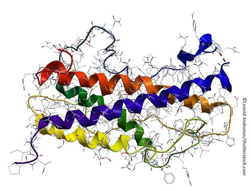 human growth hormone, AGHD, patients, endocrinology