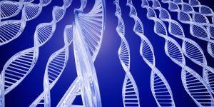 Study Points to Genetic Link to Suicidal Behavior