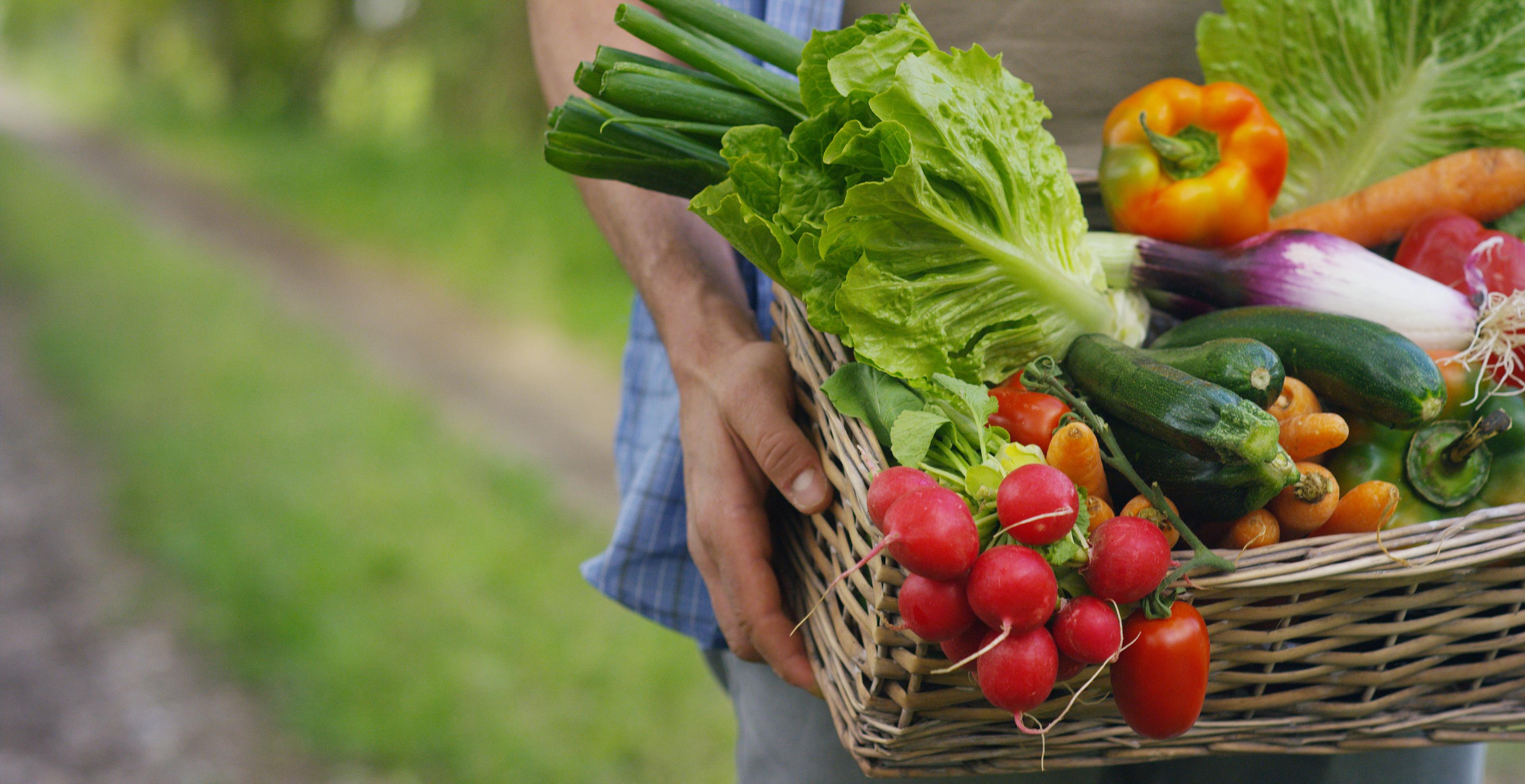 Harvard Study Calculates "Ideal" Fruit and Vegetable Intake for Heart Health