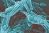 Fecal Bacteriotherapy Effective for Treating Relapsing Clostridium Difficile Infection