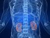 In Kidney Disease Marriage, Raloxifene Wears the Pants