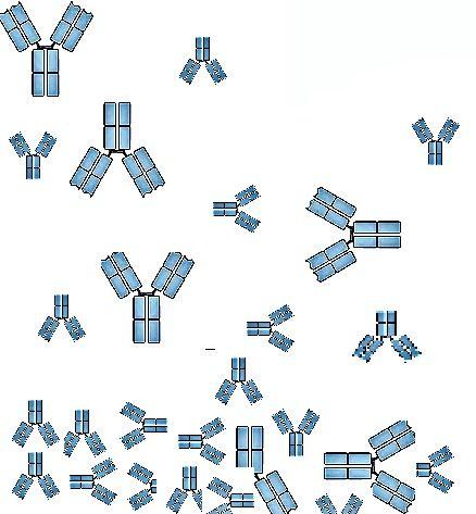 Clues to Cryoglobulinemia: A Four-Part Quiz