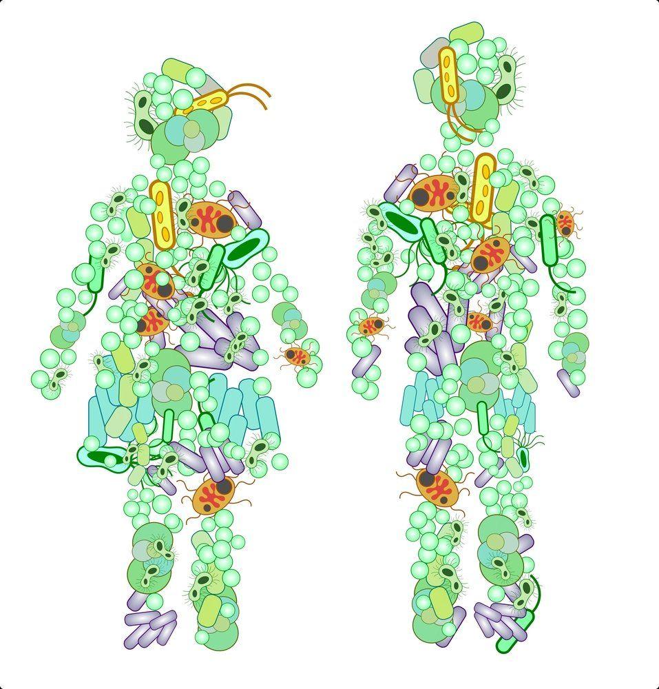 New Etiology of Rheumatoid Arthritis Identfied in the Gut Microbiome