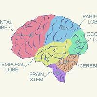 Researchers Create Validated Tool for Measuring Early Alzheimer's Disease