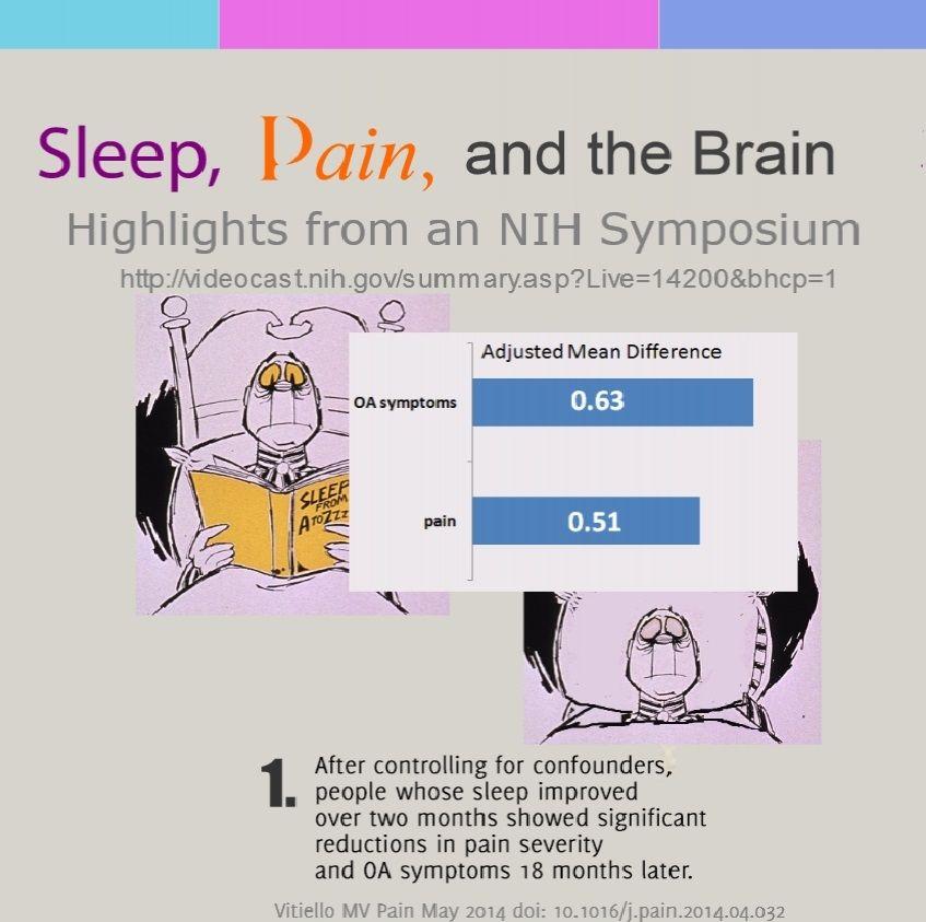 Sleep, Pain, and the Brain: Key Points from a Symposium